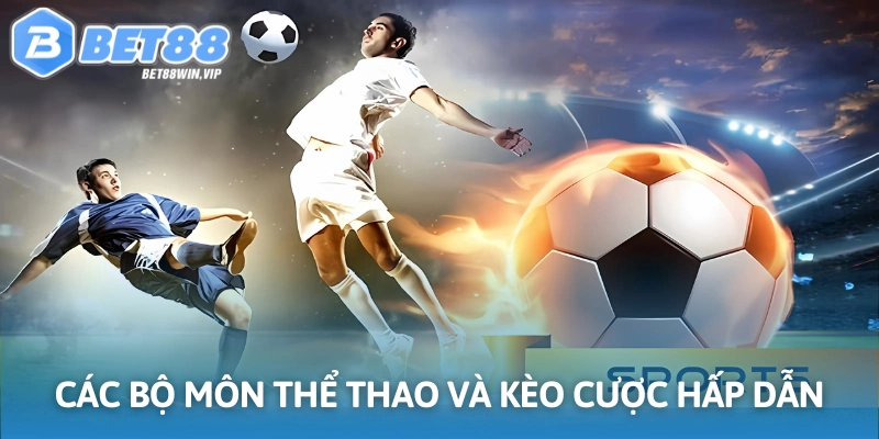 Nhiều môn thể thao cùng kèo cược cực kỳ hấp dẫn ở đây
