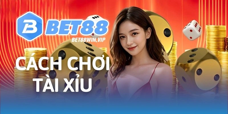 Cách Chơi Tài Xỉu