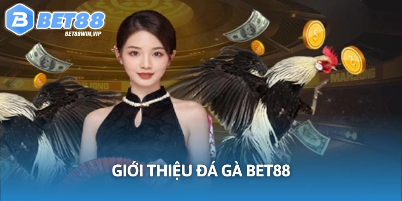 Cập nhật nội dung về đá gà Bet88