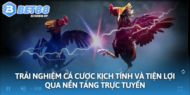 Trải nghiệm cá cược kịch tính và tiện lợi qua nền tảng trực tuyến
