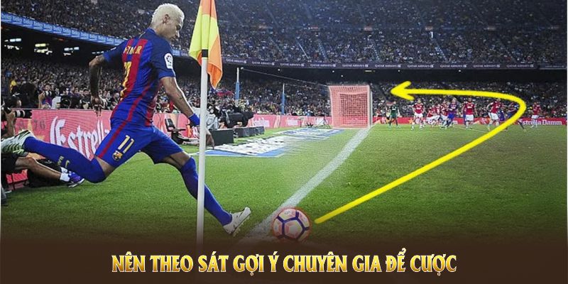 Nên theo sát gợi ý chuyên gia để cược có hiệu quả